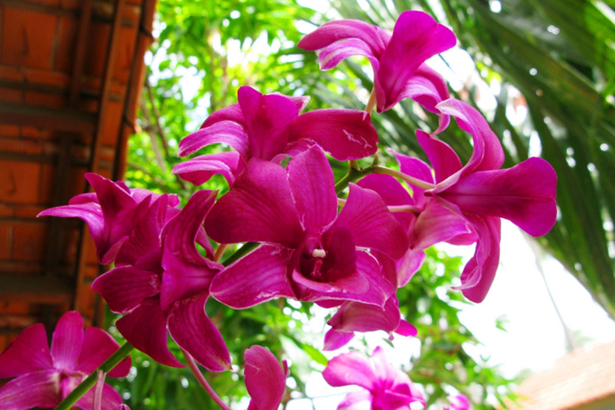 Hiep Hoa Resort Mui Ne Exterior foto